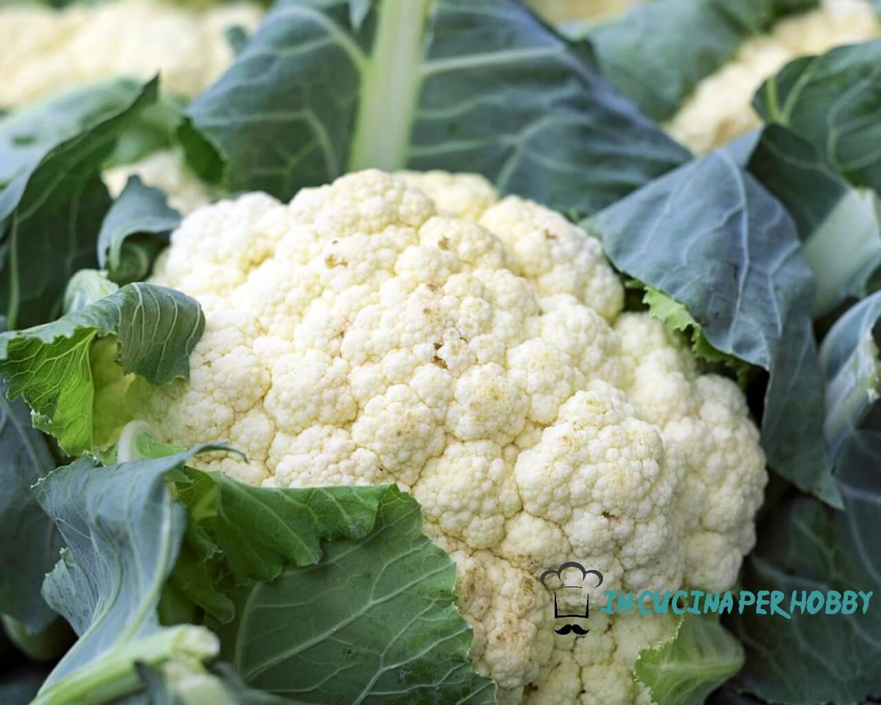 tutto quello che devi sapere sui cavolfiori